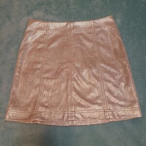 Metallic Skirt